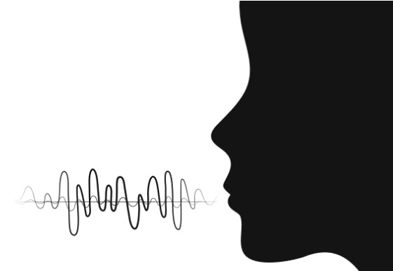 level 2 「嗓音保養」2026 線上工作坊 限六位